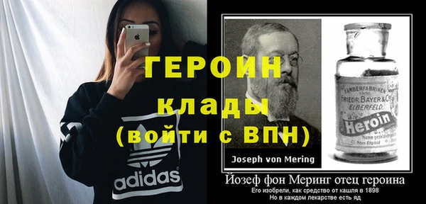 ГАЛЛЮЦИНОГЕННЫЕ ГРИБЫ Лагань