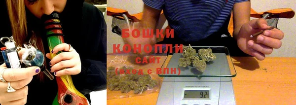 ГАЛЛЮЦИНОГЕННЫЕ ГРИБЫ Лагань