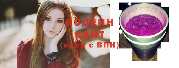 ГАЛЛЮЦИНОГЕННЫЕ ГРИБЫ Лагань