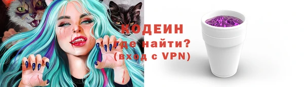 ГАЛЛЮЦИНОГЕННЫЕ ГРИБЫ Лагань