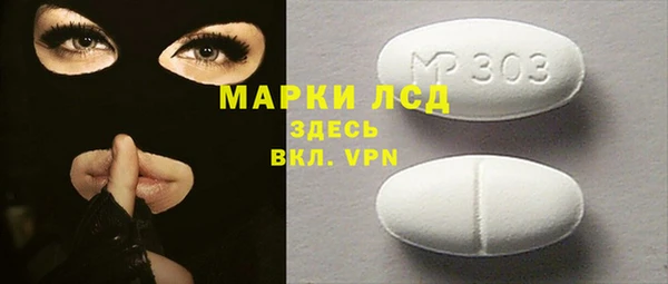 ГАЛЛЮЦИНОГЕННЫЕ ГРИБЫ Лагань
