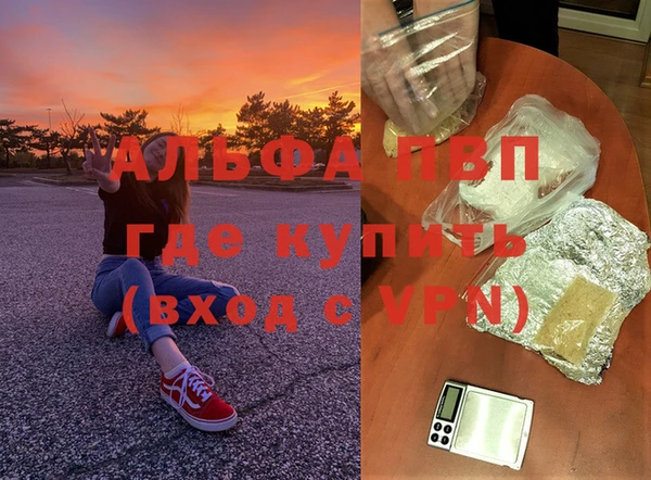 ГАЛЛЮЦИНОГЕННЫЕ ГРИБЫ Лагань